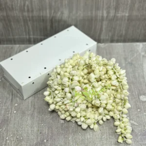 Fresh Jasmine Flowers box
