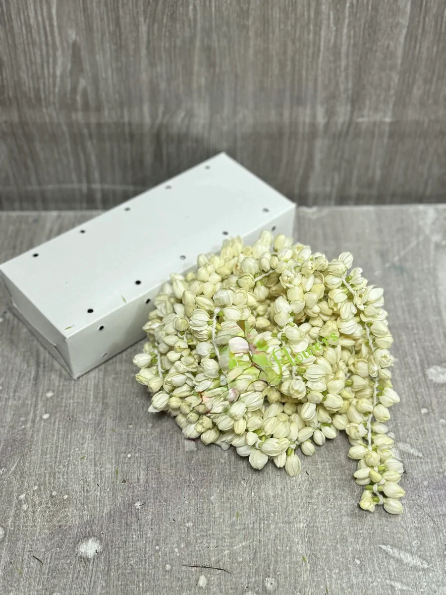 Fresh Jasmine Flowers box