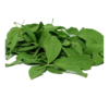 Bel Patra | Bilva Leaves