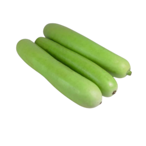 Bottle Gourd/Dudi