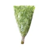 Drumstick leaves