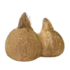 Fresh Coconut -Big