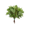 Gongura/Ambadi bunch