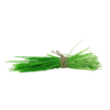 Garikagaddi or Durva Grass or Arugampul