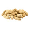 Roasted Monkey Nuts in Shell