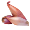 Shallot Onions