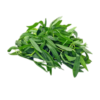 Ponnaganti leaves