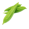 Ridge Gourd/Beerakaya