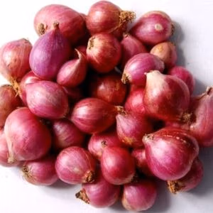 Shallot Onions