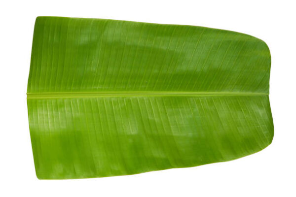 Banana leaves each