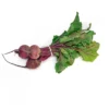 Leafy Beet root 3 bunch