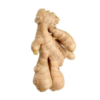 Fresh Ginger