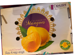 Mangoes Alphonso Big Box