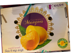 Mangoes Alphonso Big Box