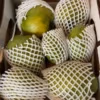 Banganapalle (Benishan and Bernisha) Mangoes Big Box - Image 2