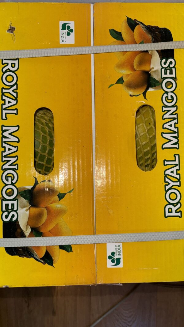 Banganapalle (Benishan and Bernisha) Mangoes Big Box