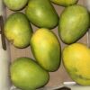 Banganapalle (Benishan and Bernisha) Mangoes Big Box - Image 3