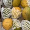 Banganapalle (Benishan and Bernisha) Mangoes Big Box
