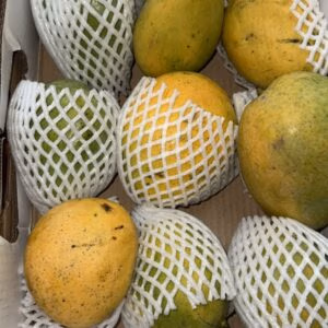 Banganapalle (Benishan and Bernisha) Mangoes Big Box