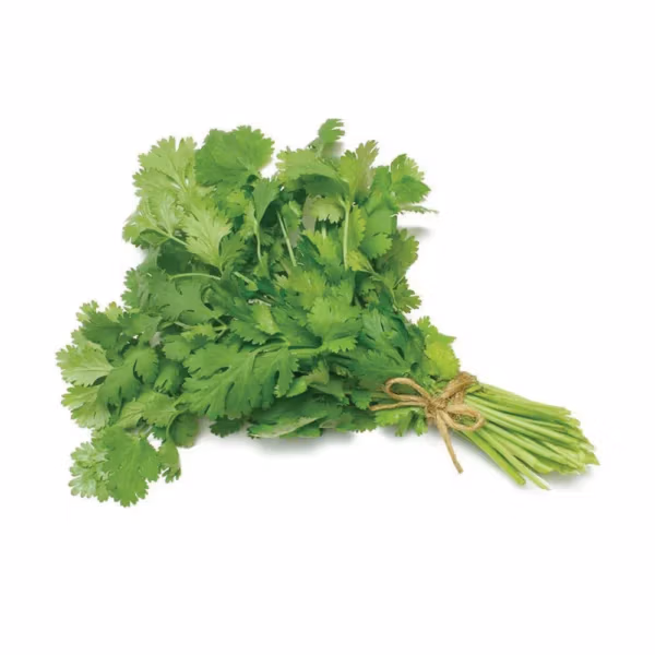 Coriander big bunch
