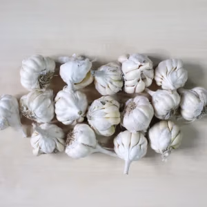 Indian Garlic