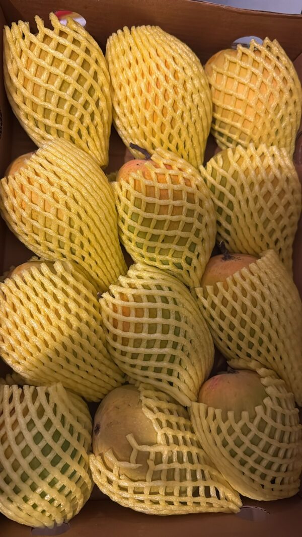 Mangoes Alphonso Big Box - Image 2