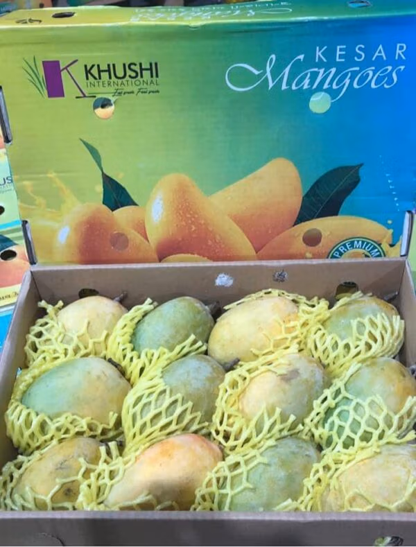 Kesar Mangoes from Heart of Gujarat Big Box 12 Mangoes