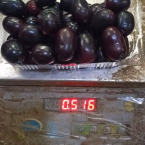 Fresh Jamun 500g