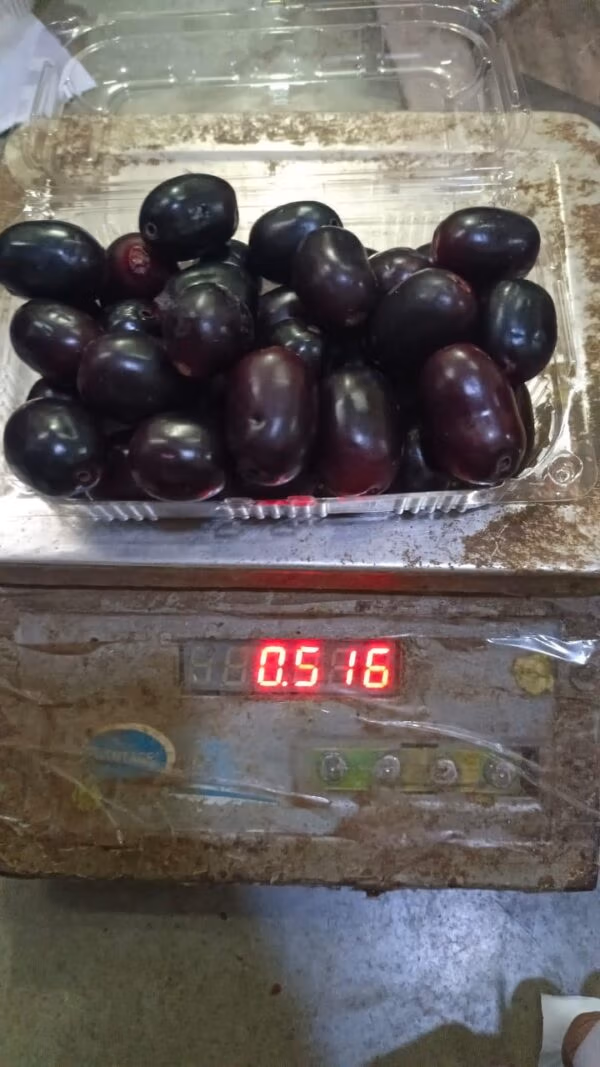 Fresh Jamun 500g