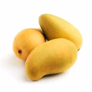 Dasheri mangoes