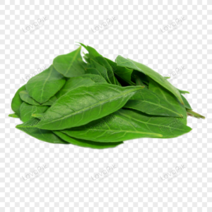 Fresh Green Henna Leaves 100g