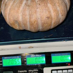 Indian Pumpkin 1kg