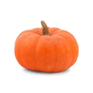 Indian Pumpkin