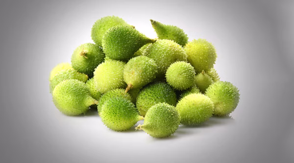 Akakarakaya/Kakoda/Kantola/Spiny Gourd/Teasel Gourd/kakrol/Mada Hagalakai