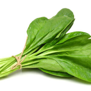 Fresh Spinach or Palak bunch