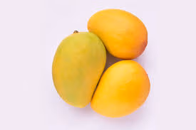 Badami Mangoes Small box 1.5kg
