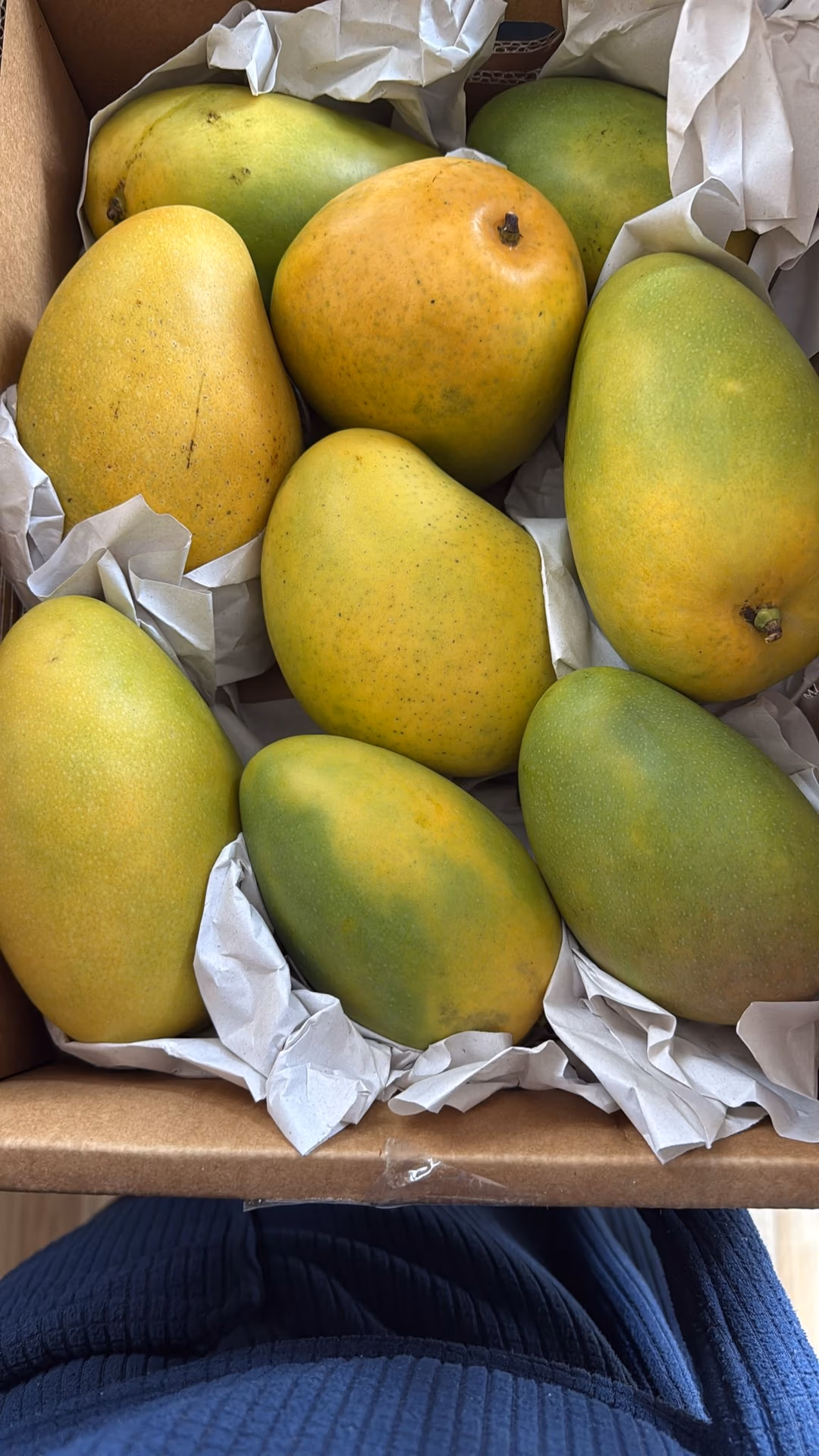 Banganapalle (Benishan and Bernisha) Mangoes 4kg Box