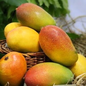 Suvarna Rekha/Sundari Mango 3kg
